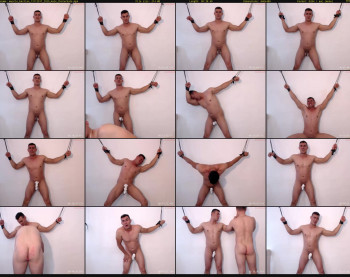 muscle_bastian