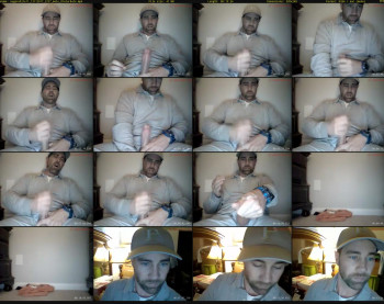 sugarwhite11