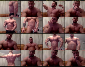 panda_muscle