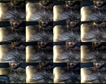 alphababoonsex