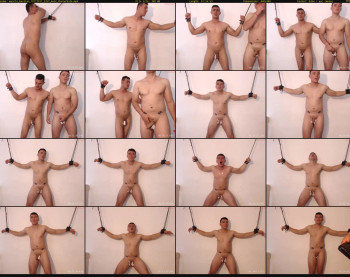 muscle_bastian