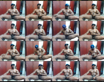 paradise699