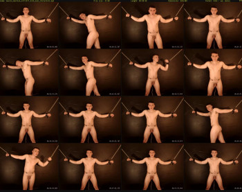 muscle_bastian