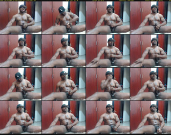 paradise699