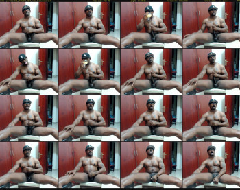 paradise699