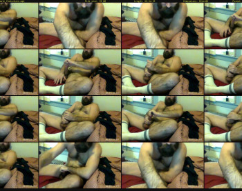 cubinsox