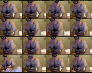 musclbear