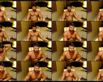 shanepowers