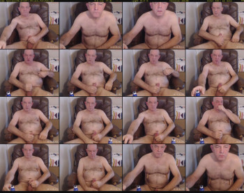 bearslave3100