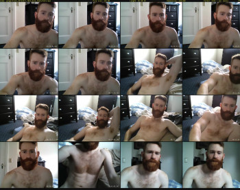 gingerkicks