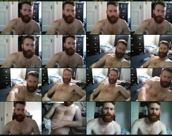 gingerkicks