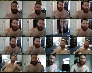 gingerkicks