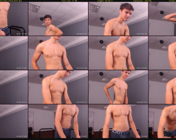 stephanwolfx