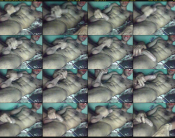 sweetsjhot
