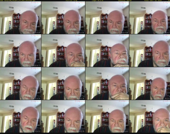 bearprof48