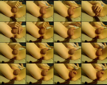 chase_19_anal