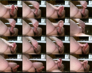 curiousforfun11