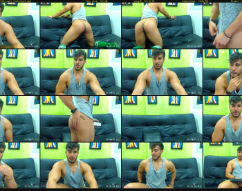 artemisswild