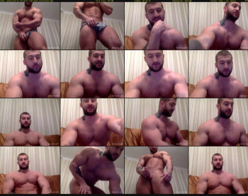 panda_muscle