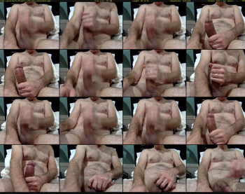 puslicker4