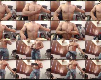 thomhanzz