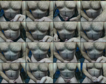furrybear2