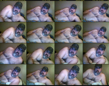 straightbear4you