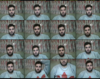thaer2033