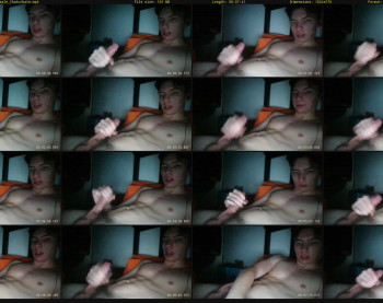 walrus_l