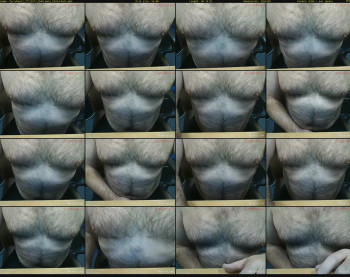furrybear2