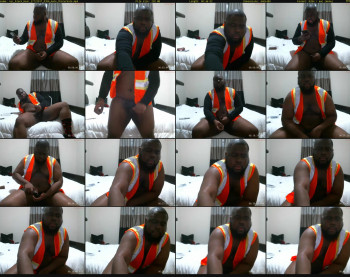 nyc_black_bear