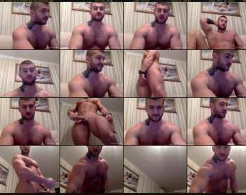 panda_muscle