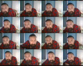 beardedpixies