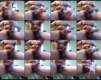 furryblue68