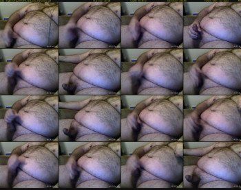bighairytop