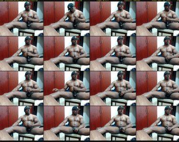 paradise699