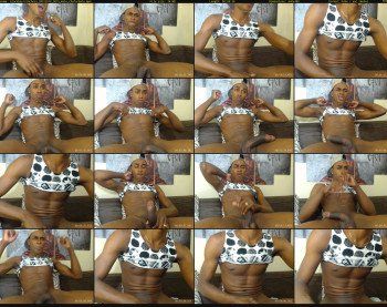 blackboy12inchess