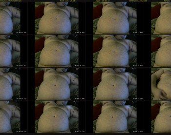 fatsoratbear
