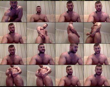 panda_muscle