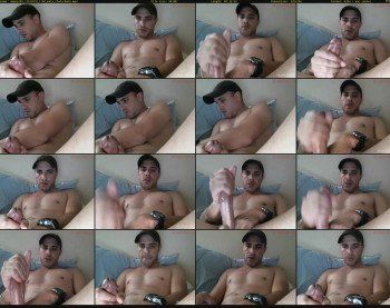 demos295