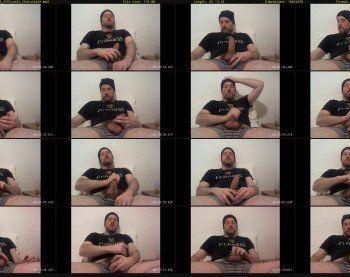 bear_necessity_