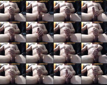 bobslivecam