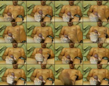demos295