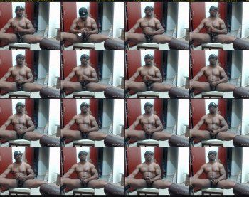 paradise699