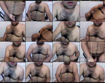 alexlatinbear