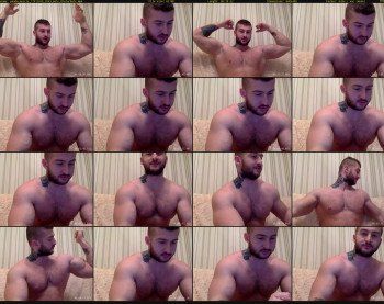 panda_muscle