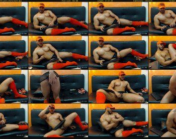 artemisswild