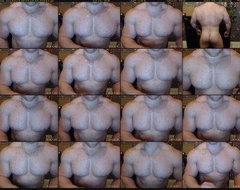 musclebullxx29