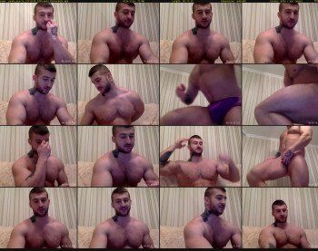 panda_muscle