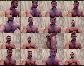 panda_muscle
